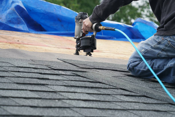 Best Gutter Installation and Roofing  in Escanaba, MI