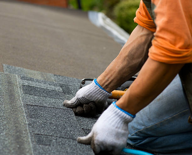 Best Roof Repair Services  in Escanaba, MI
