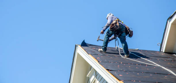 Best Roof Waterproofing Services  in Escanaba, MI